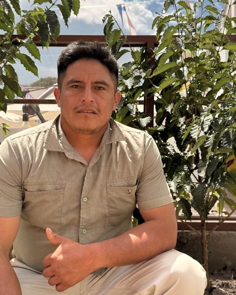 Gover Cueva Castañeda, responsable de calidad y catación, con camisa beige entre plantas de café.