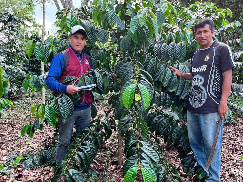 Técnico de APROECO con tablilla junto a un caficultor, entre plantas de café en la finca.