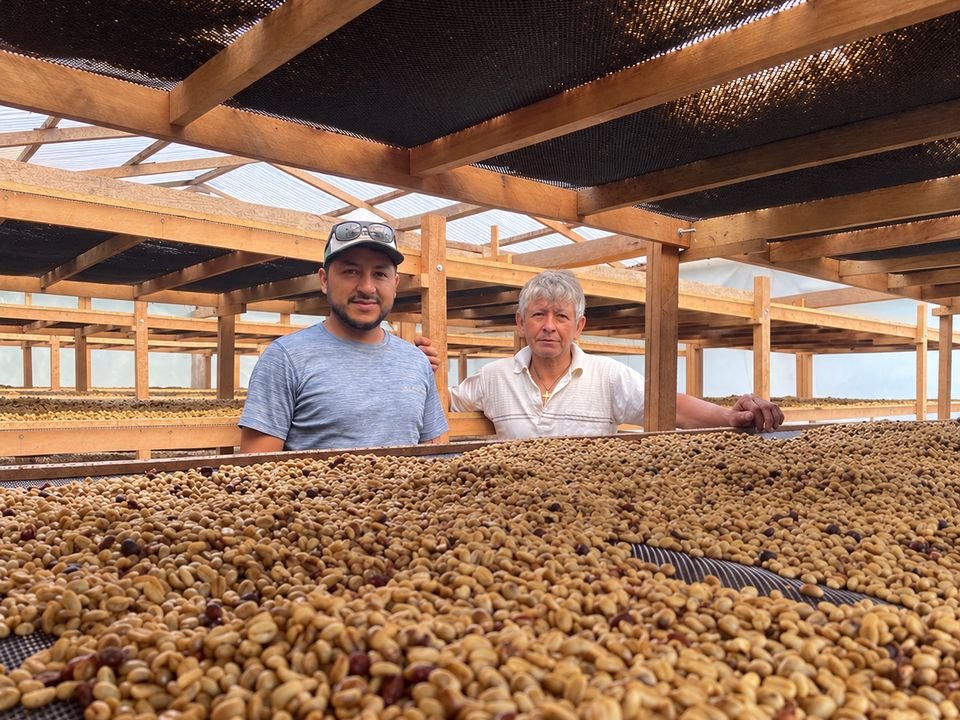 Café en pergamino secándose en camas elevadas bajo techo, con dos productores al fondo.